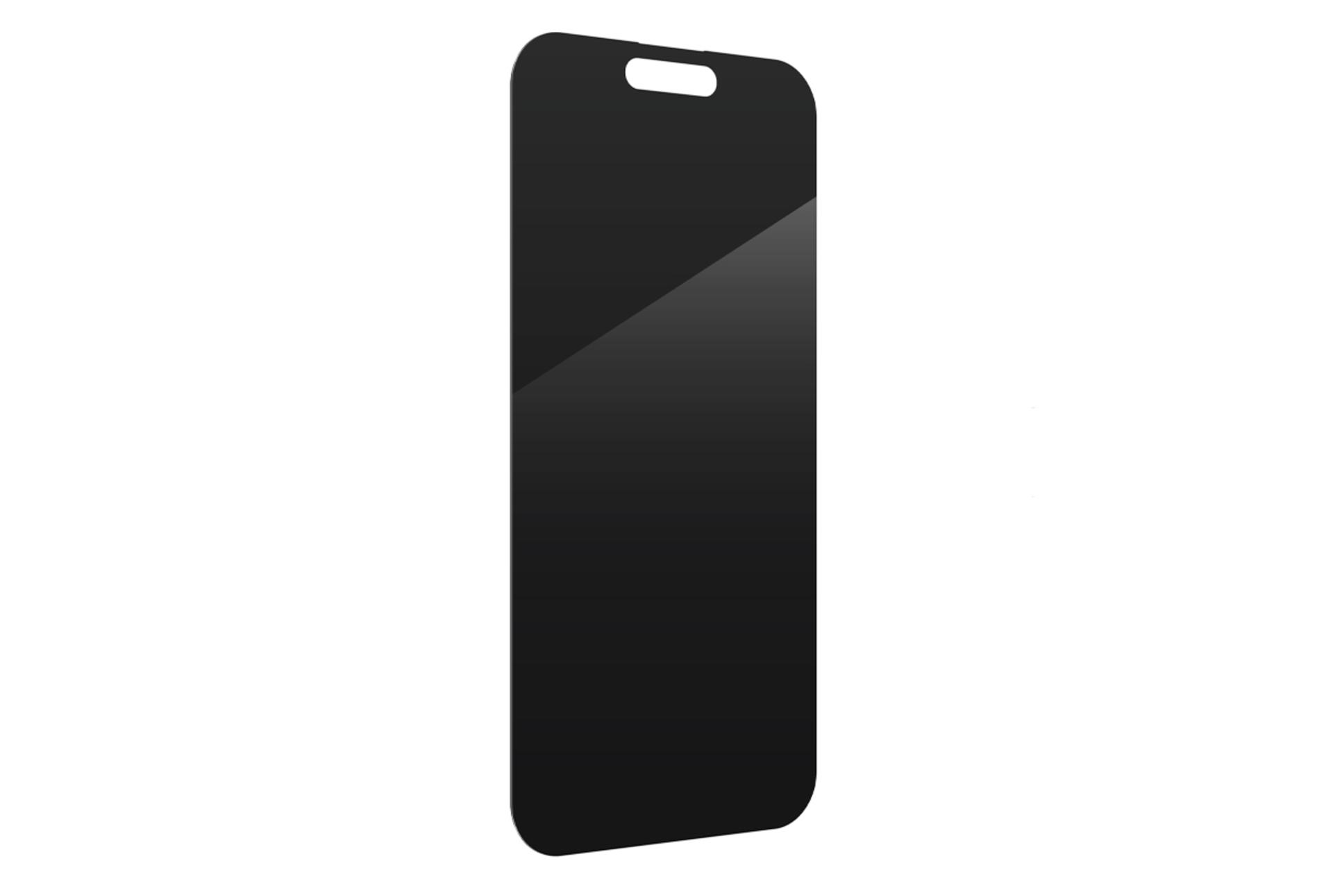 محافظ صفحه نمایش گوشی زگ مدل Glass Elite Privacy Anti-Glare مناسب اپل iPhone 16