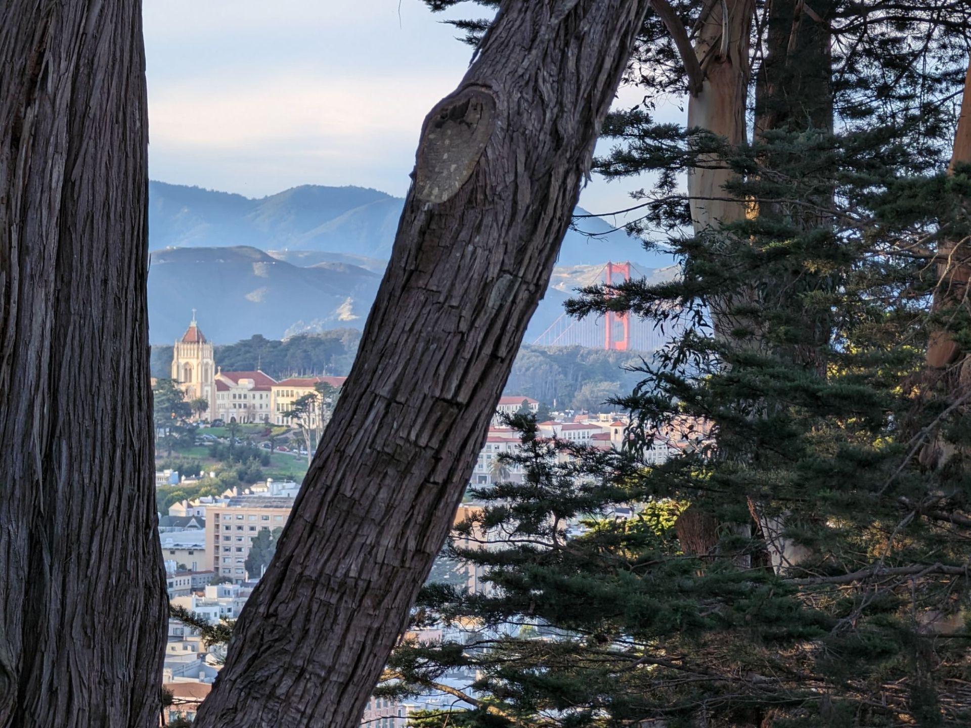 تصویر  ساختمانی در دوردست